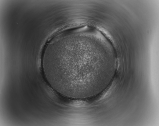 X0000088730399200705311433