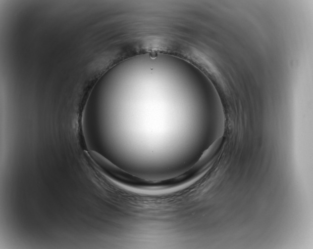 X0000088730401200705311433
