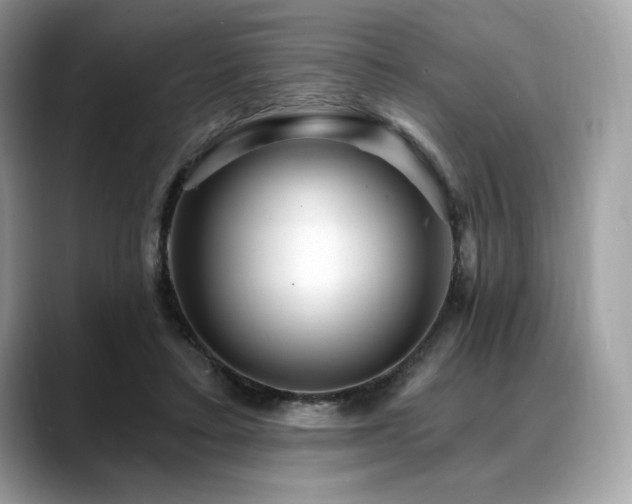 X0000088730403200705311433