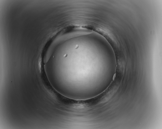 X0000088730404200705311433
