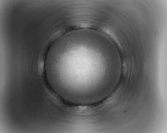 X0000088730406200705311432