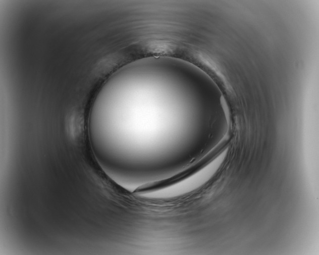 X0000088730407200705311432