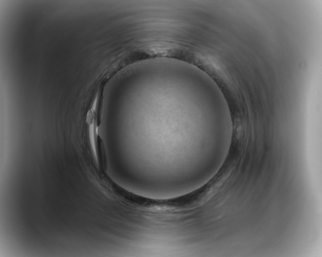 X0000088730408200705311432