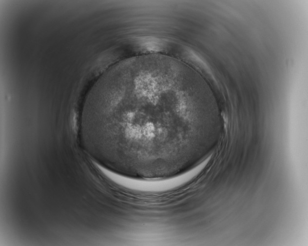 X0000088730410200705311432