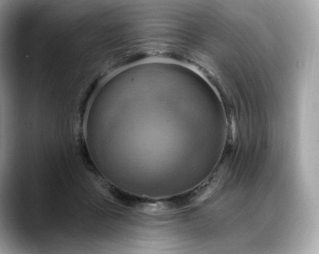 X0000088730411200705311432
