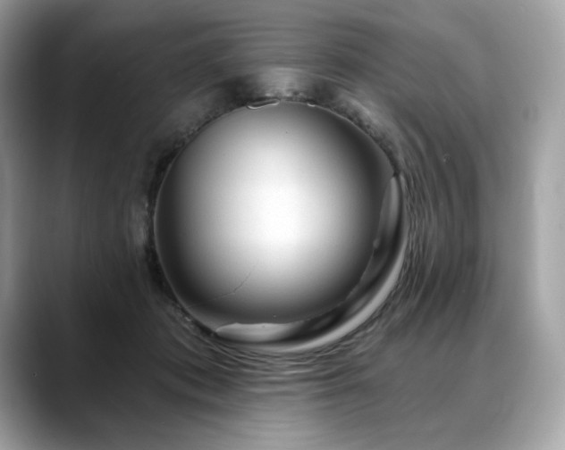 X0000088730413200705311432