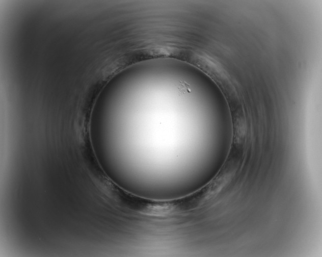 X0000088730414200705311432