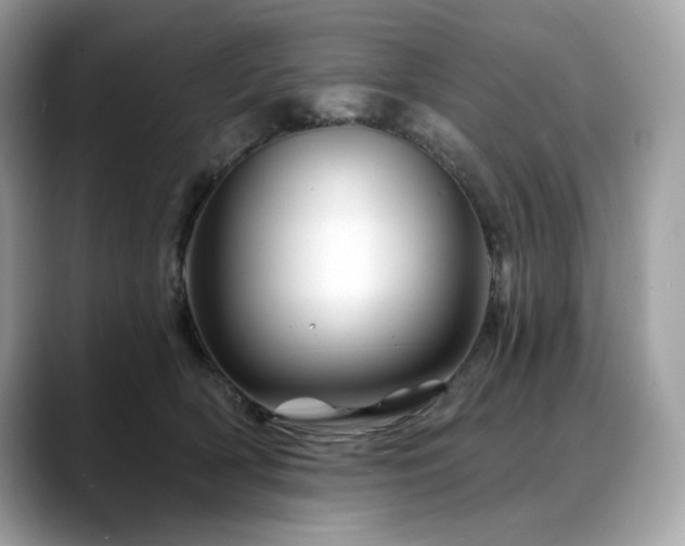 X0000088730418200705311432