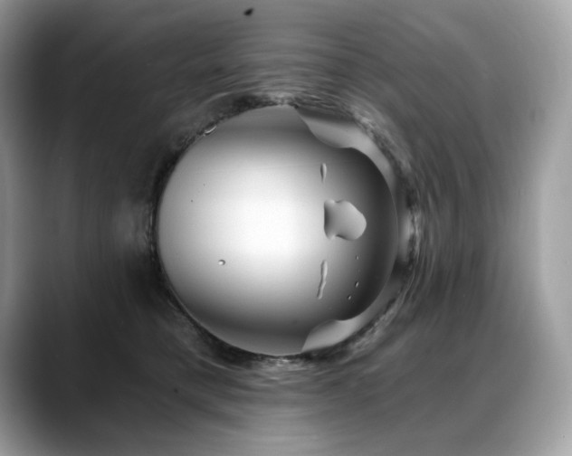 X0000088730421200705311432