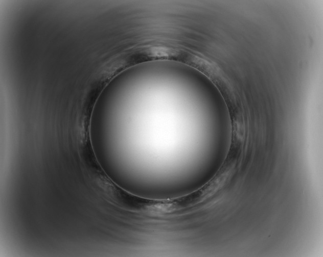X0000088730422200705311432