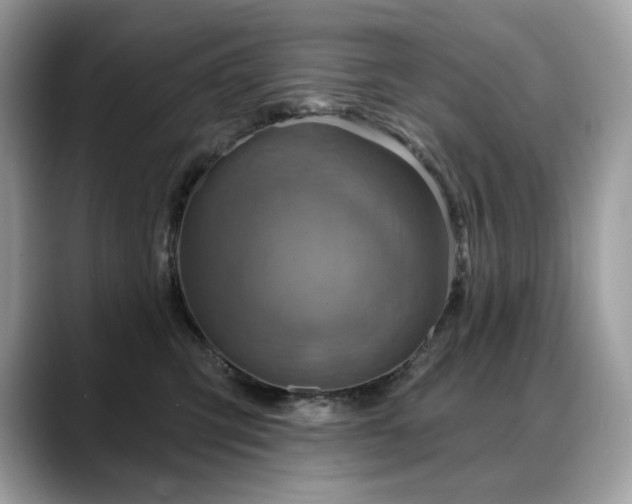 X0000088730423200705311432