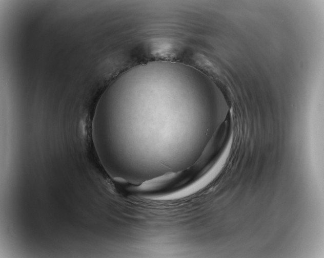 X0000088730424200705311432