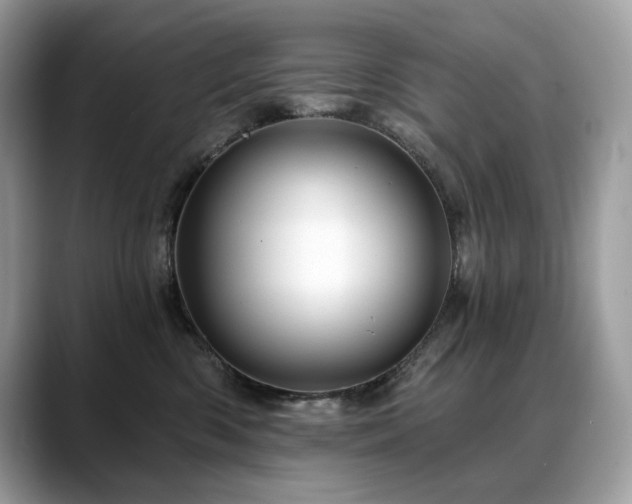 X0000088730426200705311432