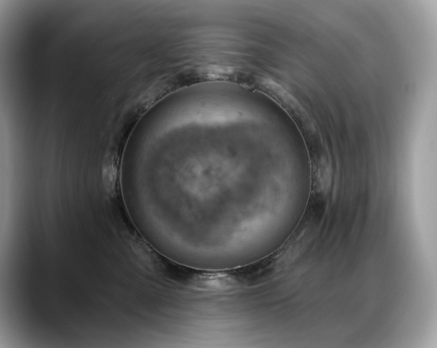 X0000088730427200705311432