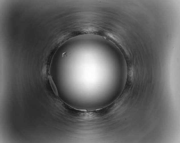 X0000088730428200705311432