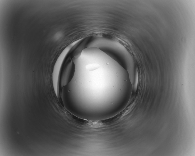 X0000088730429200705311432