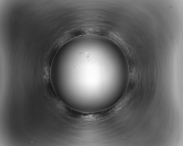 X0000088730430200705311432