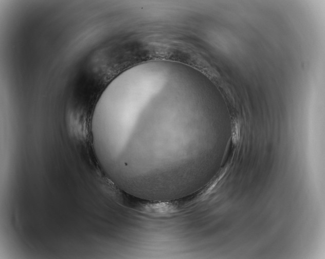 X0000088730431200705311432
