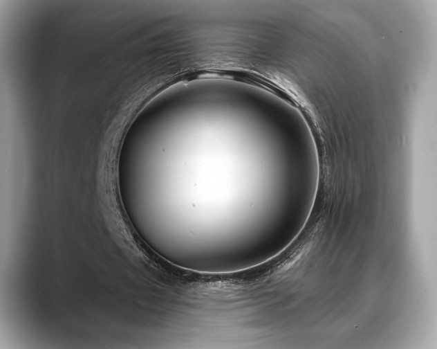 X0000088730433200705311432