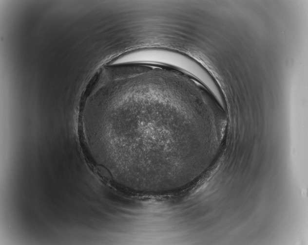 X0000088730434200705311432