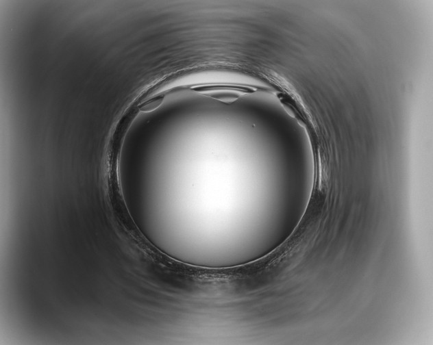 X0000088730435200705311432