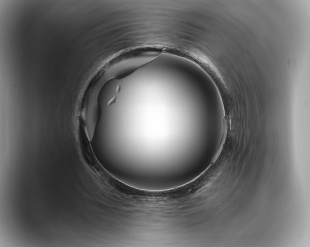 X0000088730436200705311432