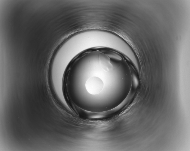 X0000088730438200705311432