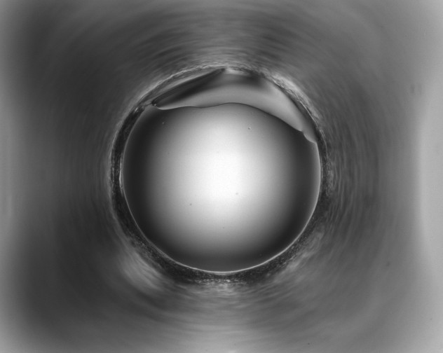 X0000088730439200705311432