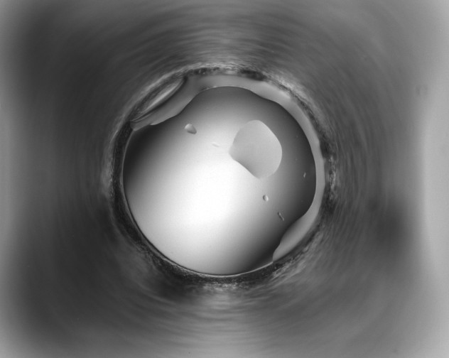 X0000088730440200705311432