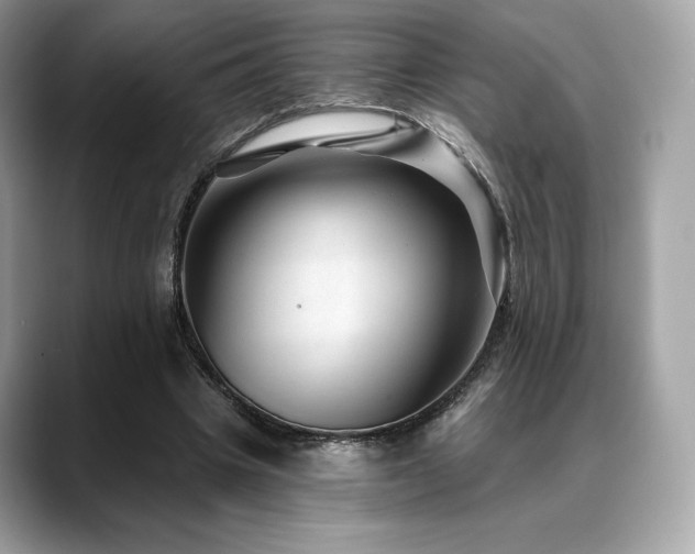 X0000088730441200705311432