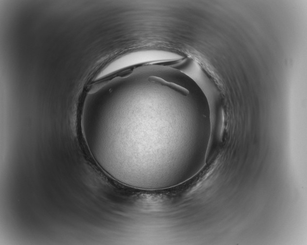X0000088730442200705311432