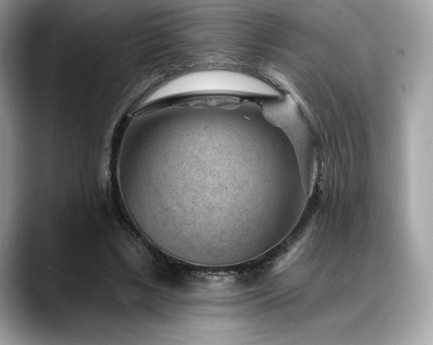 X0000088730443200705311432