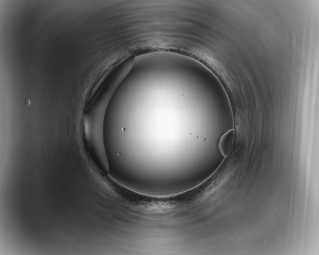 X0000088730445200705311432