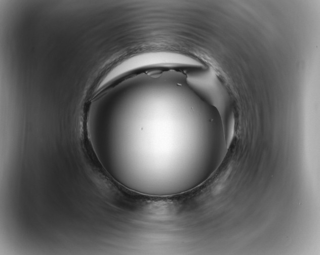 X0000088730446200705311432