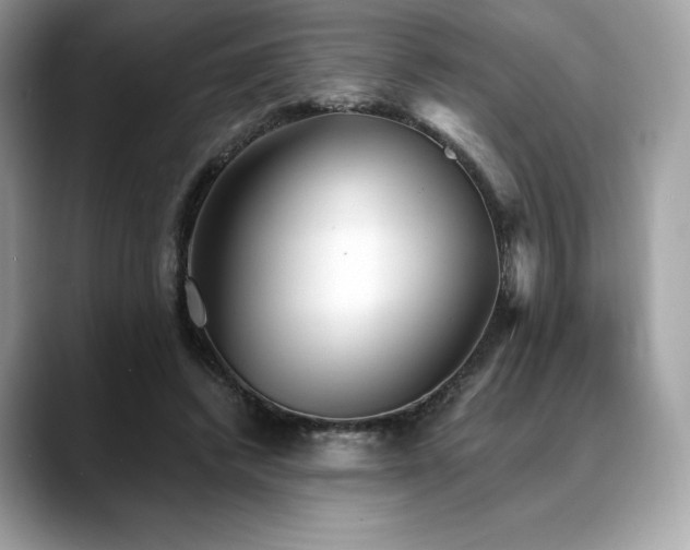 X0000088730448200705311432