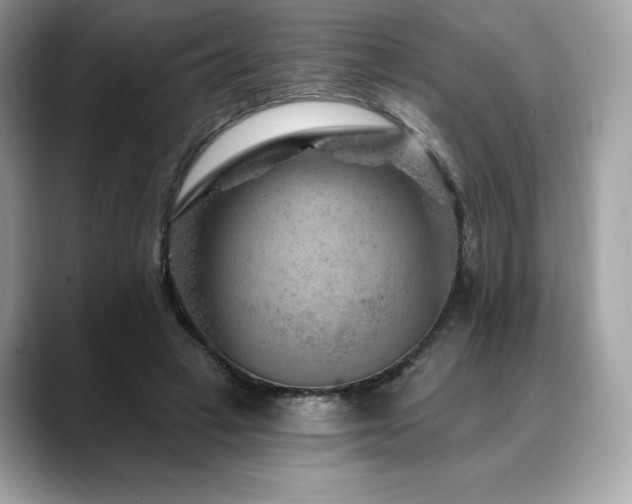 X0000088730449200705311432