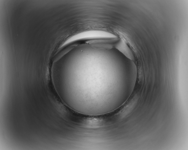 X0000088730453200705311432