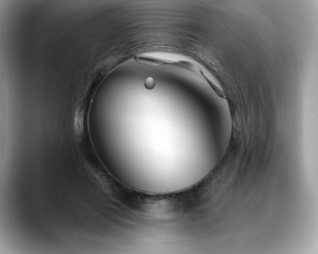 X0000088730454200705311432