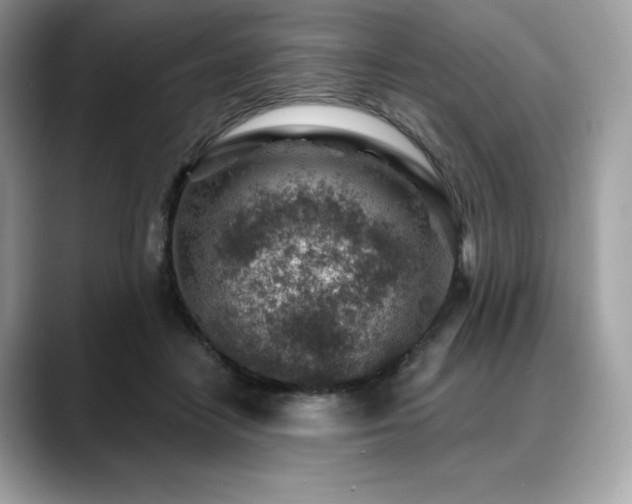 X0000088730458200705311432