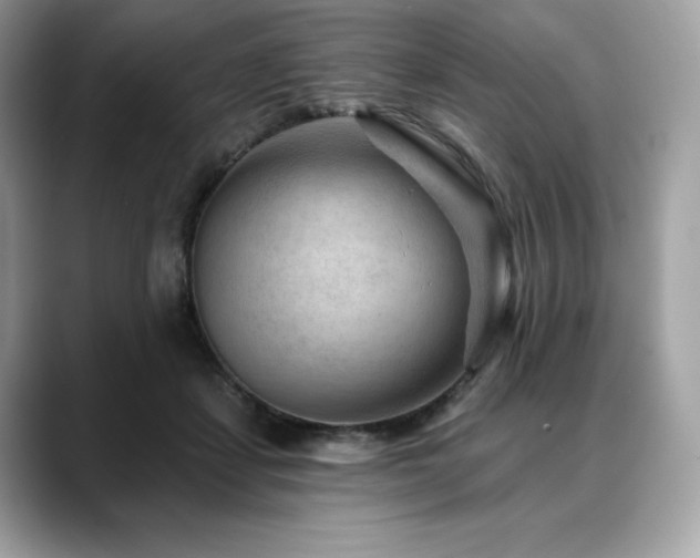 X0000088730459200705311432