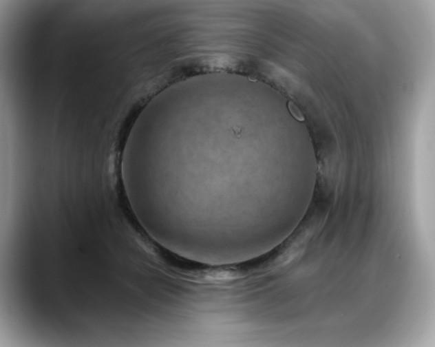 X0000088730462200705311432