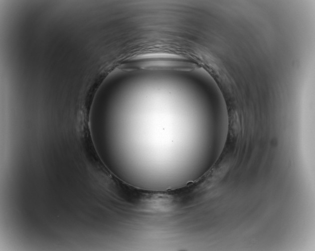 X0000088730463200705311432