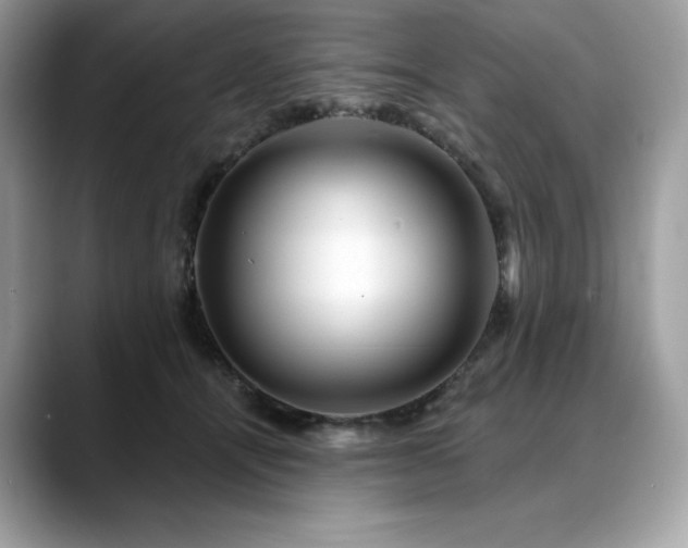 X0000088730464200705311432