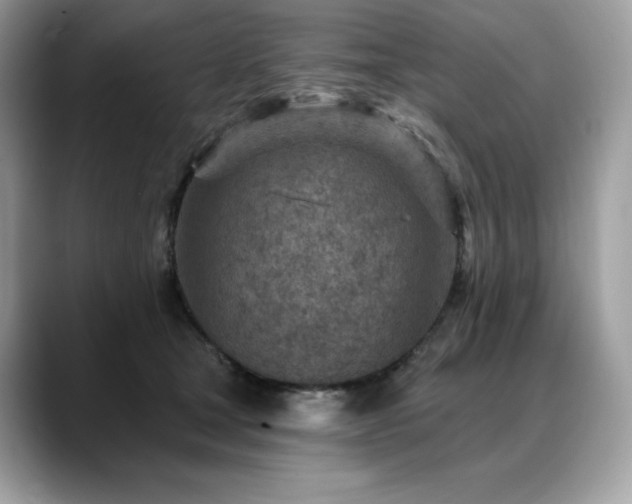X0000088730465200705311432