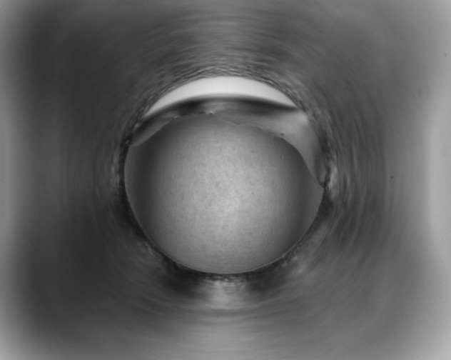 X0000088730466200705311432
