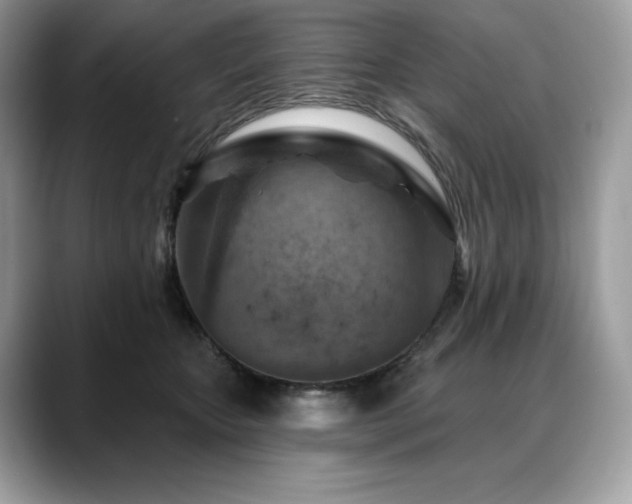 X0000088730467200705311432