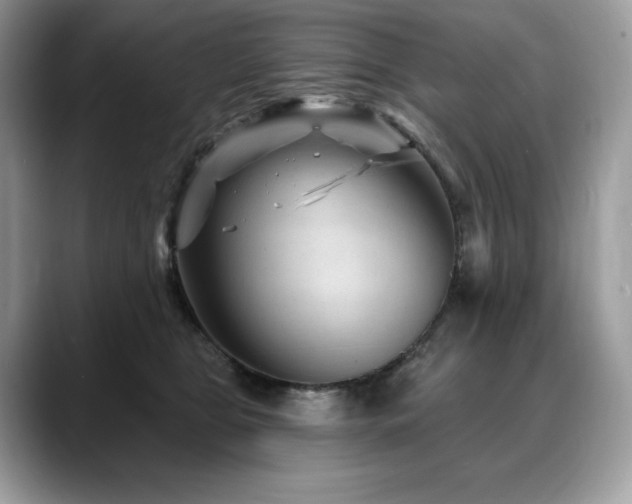 X0000088730469200705311432