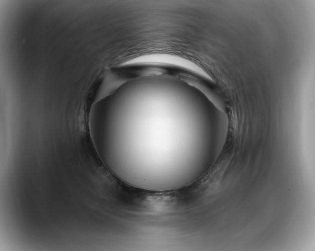 X0000088730470200705311432