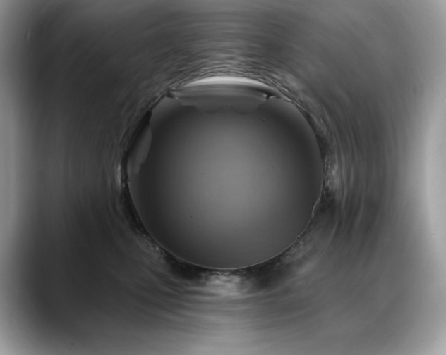X0000088730471200705311432