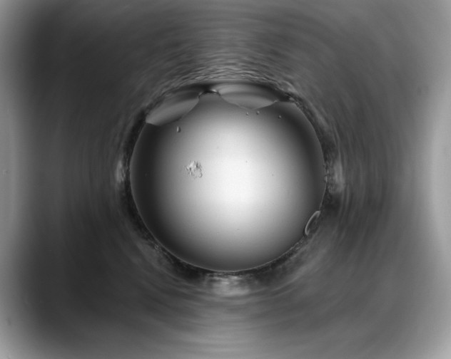 X0000088730472200705311432
